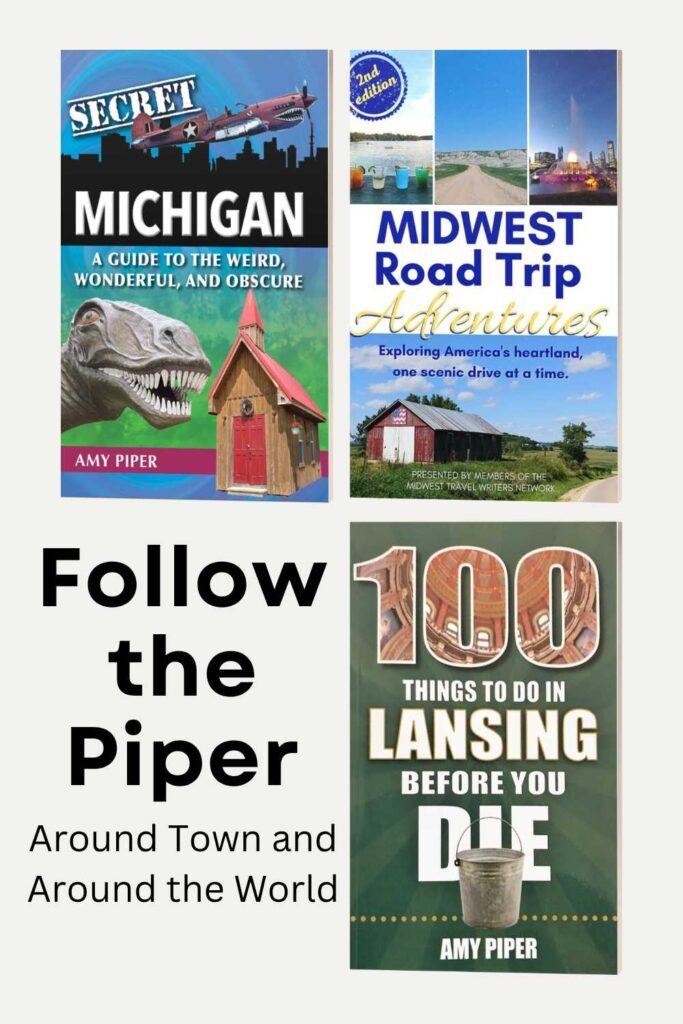 Detroit book fest graphic