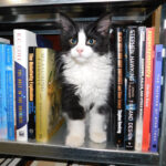 Vendor/Author Profile Image 1 2022 12 09