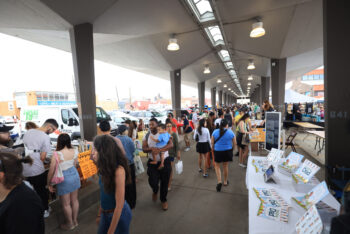 Shed 6 Crowd — Photo by Deborah Maciolek. © Debography 2025. All Rights Reserved. adsfadsfasdfasdfasd -